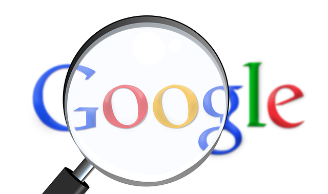 google-pagara-a-quienes-busquen-fallos-en-sus-dominios
