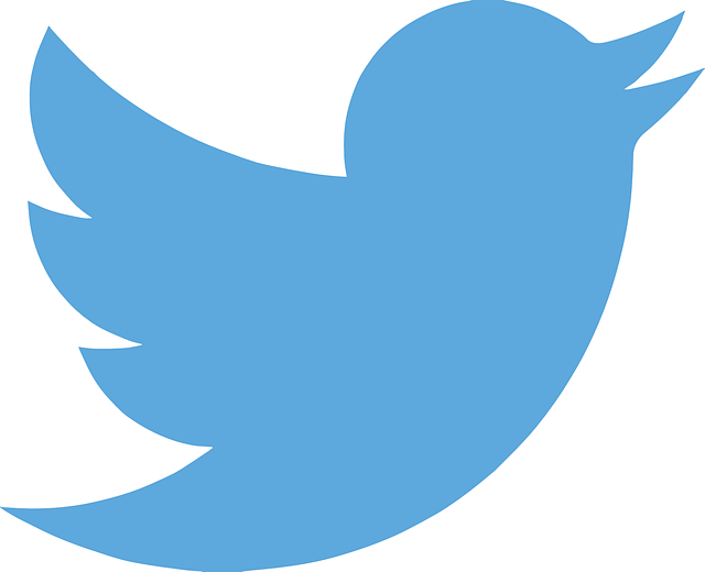 twitter-es-la-red-social-mas-eficaz-para-una-estrategia-de-marketing