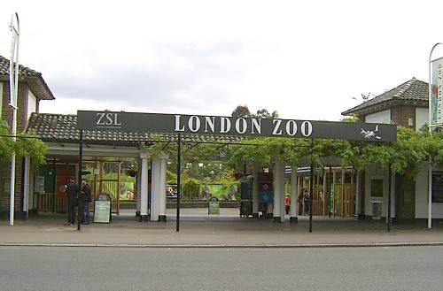 London_Zoo