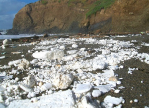 poliestireno-en-la-costa