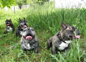 1452695527-438597513417ffbc423ao