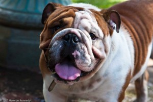 1452695580-57187298209b8bab393az