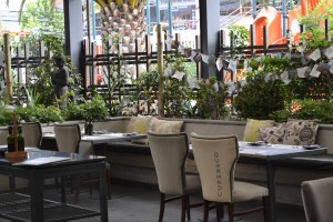 Terraza Cuper 2