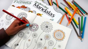 livro_de_pintar_para_adultos