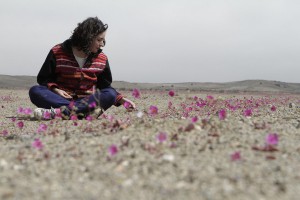 viajar-casi-gratis-por-Chile-desierto-florido-600x400