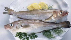 420-eating-fish-reduced-risk-alzheimers.imgcache.rev1359846202863.web_