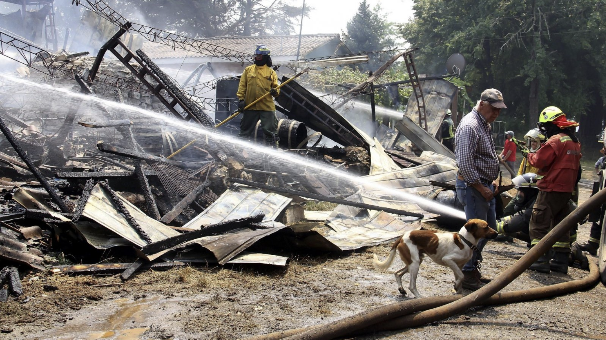 ¿Cómo ayudar a los damnificados por los incendios forestales ...